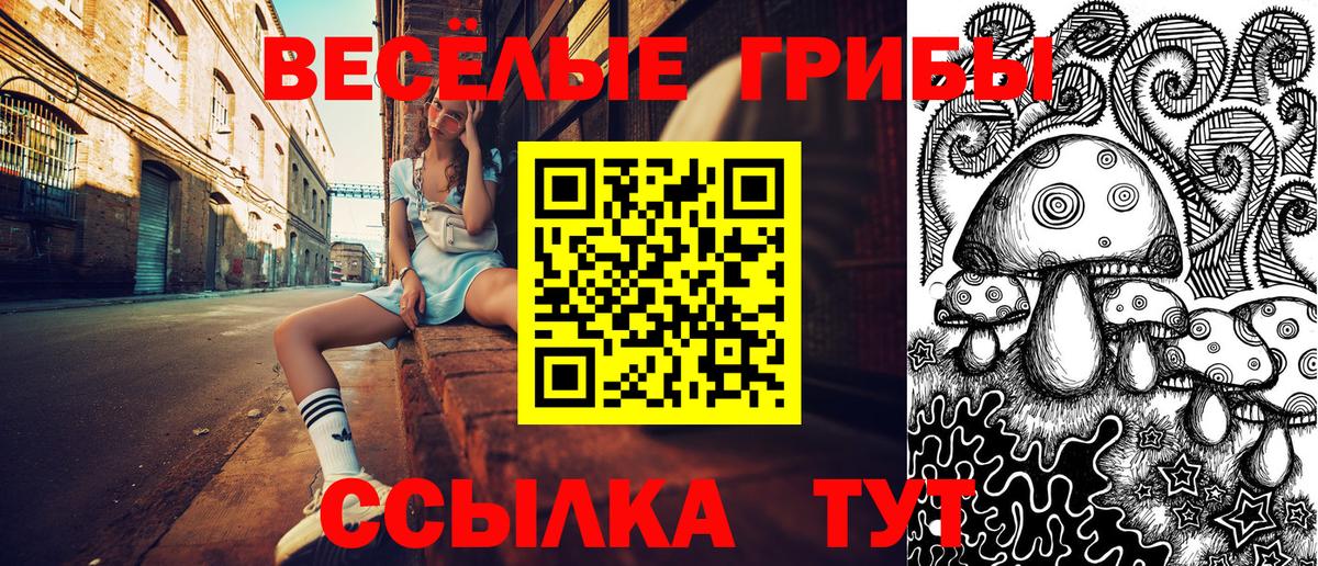 Галлюциногенные грибы GOLDEN TEACHER Белебей